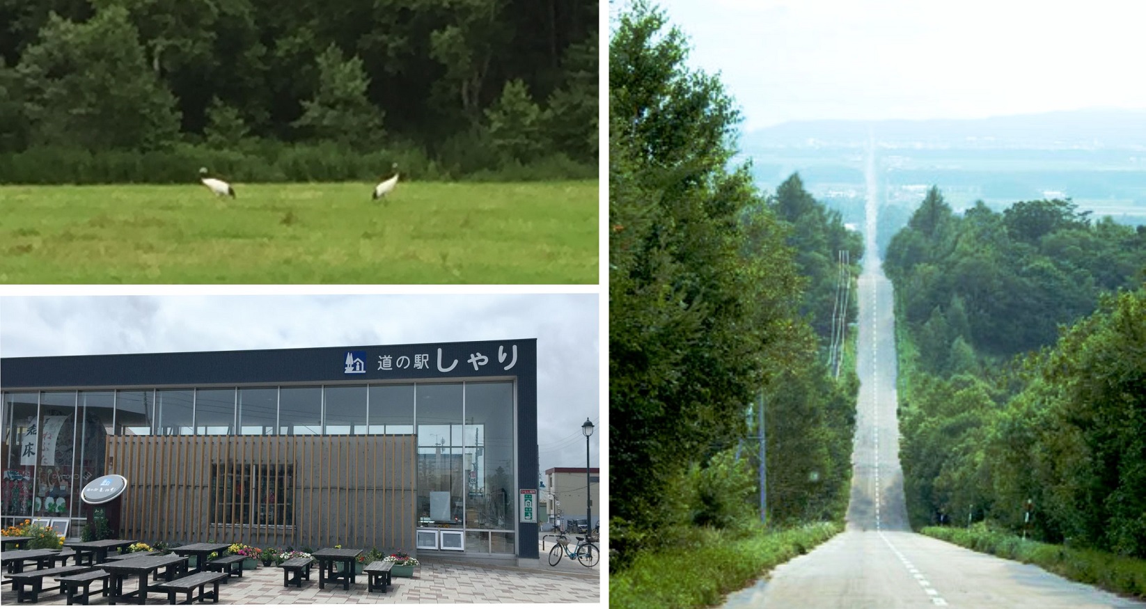 天に続く道 リベンジとか 斜里の文学部ヒグマ研究室とか 2017北海道 4 旧 日本にもっと恋する旅