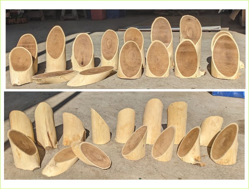 槐端材（エンジュ）素材　工芸品雑貨